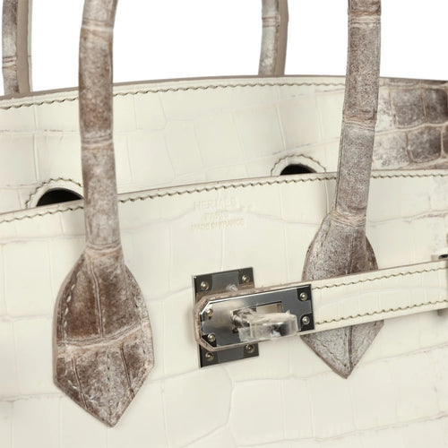 Birkin 25 Himalaya Crocodile-Inspired Luxury Handbag